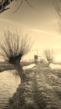Szary + Sepia