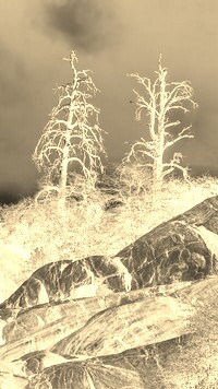 Sepia + Negatyw