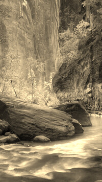Sepia