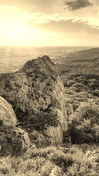 Sepia