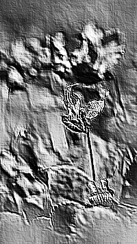 Skamielina