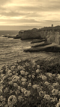 Szary + Sepia