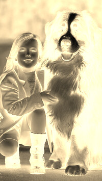 Sepia + Negatyw