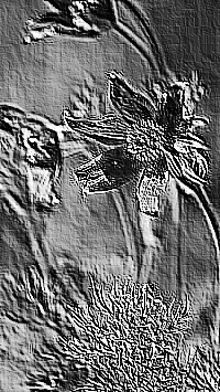 Skamielina