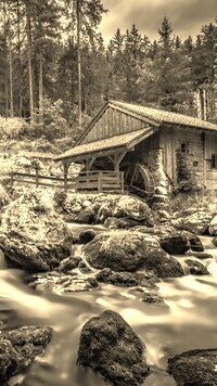 Szary + Sepia