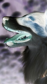 Negatyw