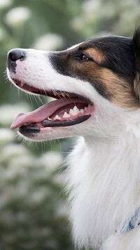 Oryginalny obrazek