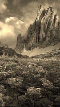 Sepia
