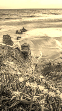 Sepia