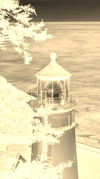 Sepia + Negatyw