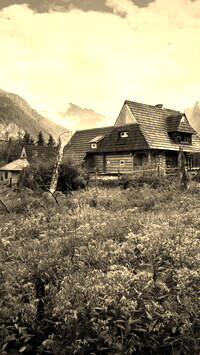Sepia