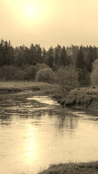 Szary + Sepia