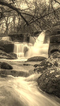 Sepia