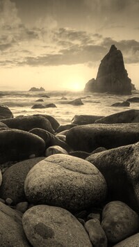 Szary + Sepia