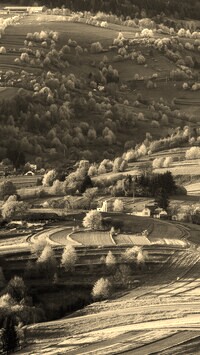 Szary + Sepia
