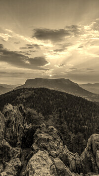 Sepia