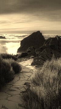 Sepia