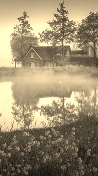 Szary + Sepia