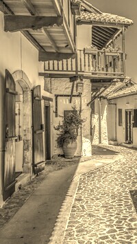 Sepia