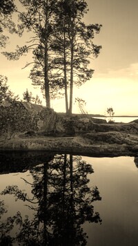 Szary + Sepia