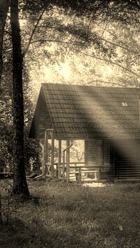 Szary + Sepia