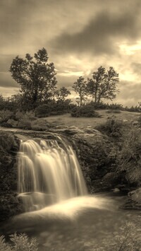 Szary + Sepia