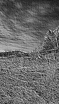 Skamielina