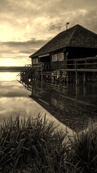 Szary + Sepia