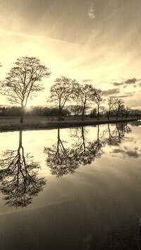 Szary + Sepia