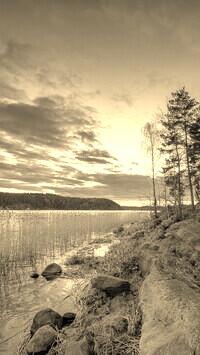 Szary + Sepia