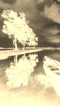 Sepia + Negatyw
