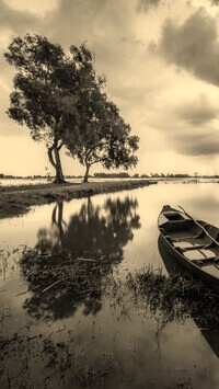 Sepia