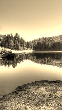 Szary + Sepia