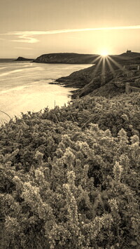 Sepia