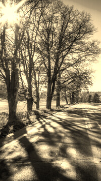 Szary + Sepia