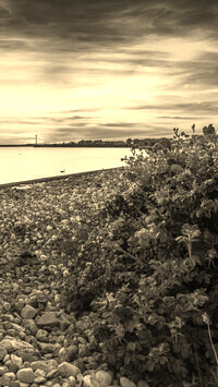 Szary + Sepia