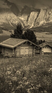 Szary + Sepia