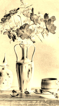 Sepia + Negatyw