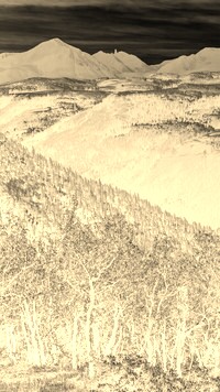 Sepia + Negatyw