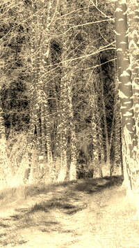 Sepia + Negatyw