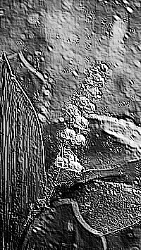 Skamielina