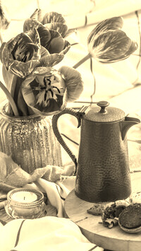 Szary + Sepia