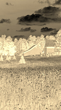 Sepia + Negatyw