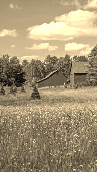 Szary + Sepia