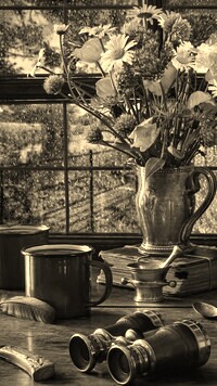 Sepia