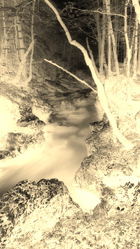 Sepia + Negatyw