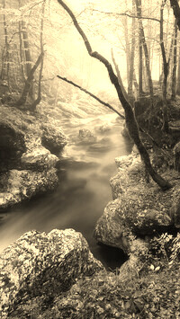 Sepia
