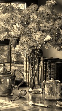 Szary + Sepia