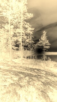 Sepia + Negatyw