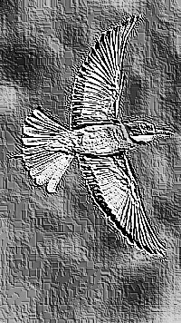 Skamielina
